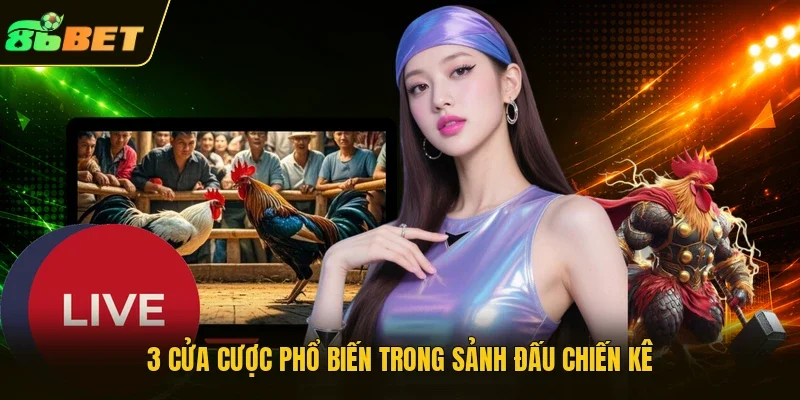 3 cửa cược phổ biến trong sảnh đấu chiến kê