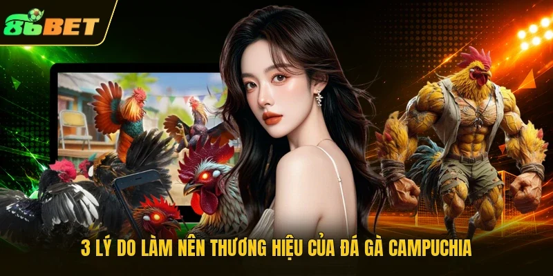 3 lý do làm nên thương hiệu của đá gà Campuchia