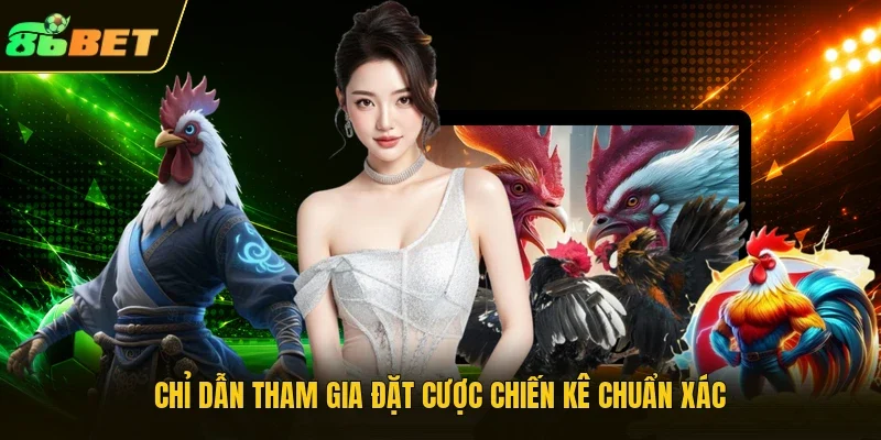 Chỉ dẫn tham gia đặt cược chiến kê chuẩn xác