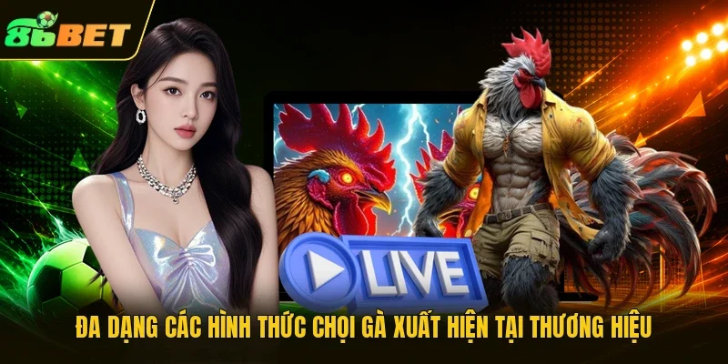 Đa dạng các hình thức chọi gà xuất hiện tại thương hiệu