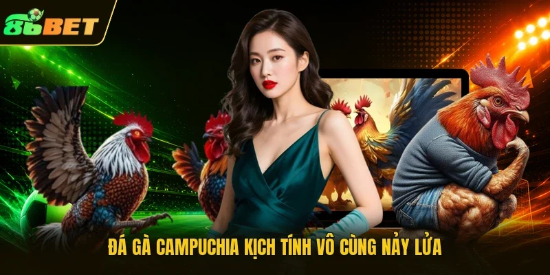 Đá gà Campuchia kịch tính vô cùng nảy lửa