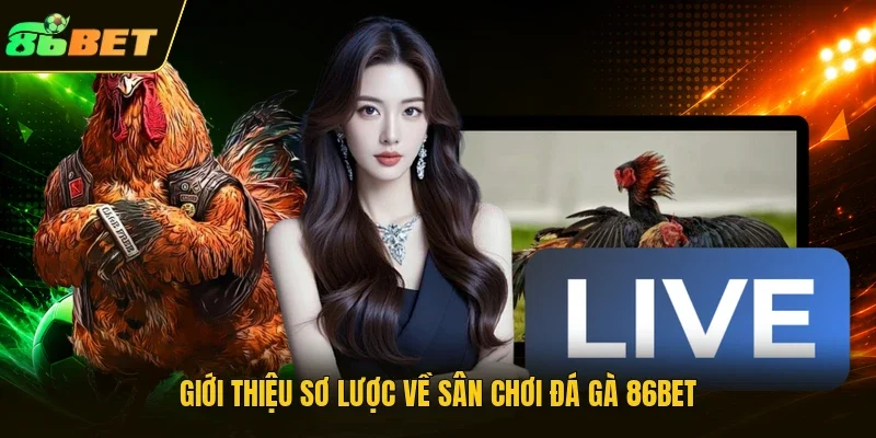 Giới thiệu sơ lược về sân chơi đá gà 86bet