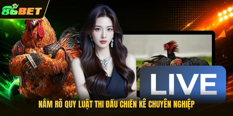 Nắm rõ quy luật thi đấu chiến kê chuyên nghiệp