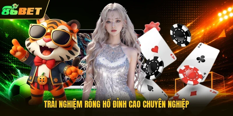 Trải nghiệm rồng hổ đỉnh cao chuyên nghiệp